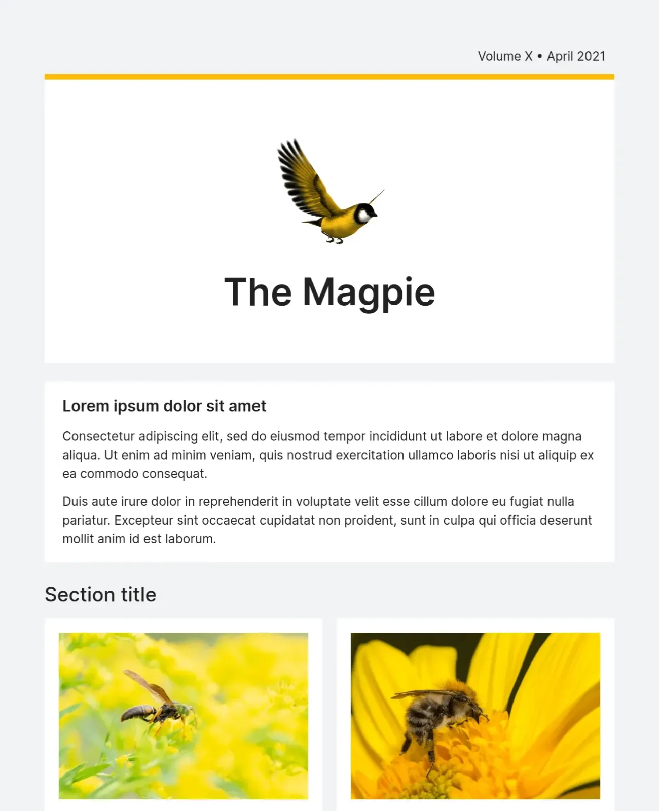 Modern email newsletter template featuring bold typography and image sections
