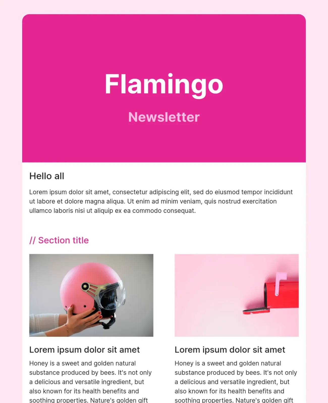 Minimalist newsletter template with structured content blocks for team updates