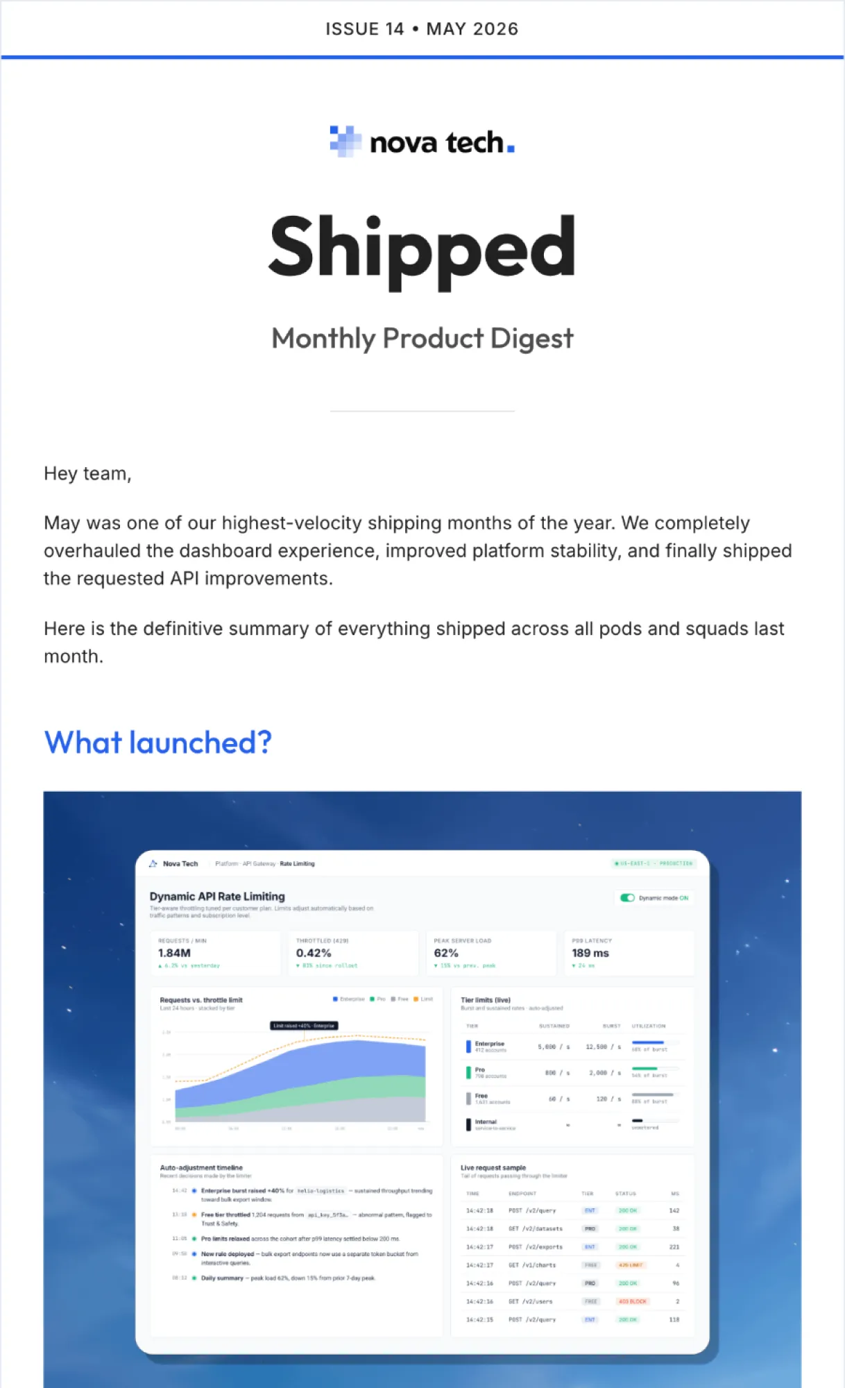 Minimalist newsletter template with structured content blocks for team updates